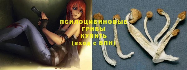 a pvp Белокуриха